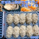 三陸宮城県産 冷凍牡蠣フライ 大サイズ 50粒入り 一粒約9cm 牡蠣 カキ かき フライ 天ぷら 揚げ物 冷凍 業務用【送料無料(一部地域を除く)】【メーカー...