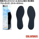 COLUMBUS コロンブス 悪臭ブロックインソール 石けんの香り 男女兼用 フリーサイズ 21.0~28.0cm 1足分(2枚入り)【ネコポス対応品】【お取り寄せ製品】中敷 インソール クッション