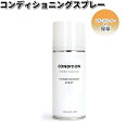 COLUMBUS　コロンブス　スニーカーケア　コンディショニングスプレー　180ml【お取り寄せ製品】【スニーカー】