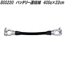 大自工業 40SQ BSS 220 バッテリー連結線 22cm【ネコポス対応品】【お取り寄せ商品】バッテリー ターミナル