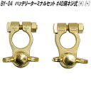 大自工業 BY-04 バッテリーターミナルセット 大ポール D端子 蝶ネジ式【お取り寄せ商品】バッテリー ターミナル