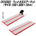 中旺ヘルス CH10301 フィットネスエアーマット 幅100×長300×高10cm 区分E【メーカー直送】【代引き/同梱不可】【トレーニングマット フィットネ...
