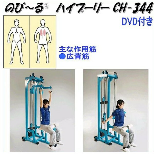 中旺ヘルス　CH-344　のび〜る&#174;　ハイプーリー　ウエイト45kg　可動域専用業務用【メーカー直送】【代引き/同梱不可】【介護予防..