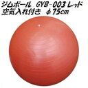 中旺ヘルス　ジムボール　GYB003　φ75cm　レッド