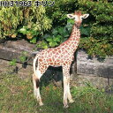 エイチツーオー HH31963 オーナメント キリン 約30x11xH52.5cm HH-31963【送料無料(北海道・沖縄・離島を除く)】【メーカー直送】【代引き/同梱不可】ガーデン置物 インテリア置物 園芸置物