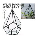 エイチツーオー HT6209 ジオメティックガラス ハンギング【メーカー直送】【代引き/同梱不可】【鉢植え プランター ポット 観葉植物】