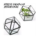 エイチツーオー HT6210 ジオメティックガラス ボックスS【メーカー直送】【代引き/同梱不可】【鉢植え プランター ポット 観葉植物】
