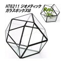 【入荷未定】エイチツーオー HT6211 ジオメティックガラス ボックスM【メーカー直送】【代引き/同梱不可】【鉢植え プランター ポット 観葉植物】