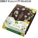 3366 ボタニッシュ シート下 クラシックシトラス 晴香堂 【お取り寄せ商品】【カーオール CARALL 芳香剤 置き型】