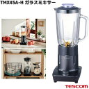 TESCOM TMX45A-H ガラスミキサー グレー 1000ml TMX45A【お取り寄せ】【代引不可】テスコム ミキサー ジューサー