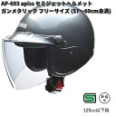 LEAD apiss AP-603 セミジェットヘルメット ガンメタリック フリーサイズ 57~60cm未満 リード工業 アピス AP603【お取り寄せ商品】【同梱/代引不可】シールド ヘルメット ジェット