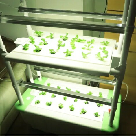 ��ӥ󥰥ե����ࡡLF-FL-1100��ή�巿��̺��ݴ��ڥƥ饹�����꡼����FL-100���٥��٥�����ҡ��ĺ�ꥭ�å���°������̵���ʲ��졦Υ��Ͻ����ˡۡڥ᡼����ľ���ۡ��������Ʊ�����Բġۼ�ͳ���桡���ꡡ���ݥ��åȡ���̺��ݡ����ݥ��åȡ�LivingFarm