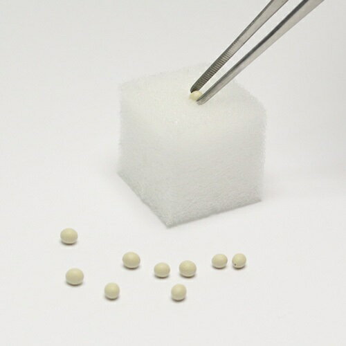 LFS-021�����ġ������������٥����åȡ��꡼�ե쥿���������դ�����ӥ󥰥ե����ࡡLFS021�ڥ᡼����ľ���ۡ��������Ʊ�����Բġ�̵������ڡ����ݥ��åȡ���̺��ݡ����ݥ��åȡ�LivingFarm