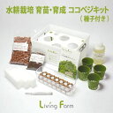 LFS-021 育苗・育成 ココベジキット リーフレタス タネ付き リビングファーム LFS021【メーカー直送】【代引き/同梱包不可】無農薬野菜 栽培キット ...