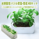 LFS-091 水耕栽培キット バジル 種子付き ハイドロボール 育苗・育成 HBキット リビングファーム LFS091【メーカー直送】【代引き/同梱包不可】...