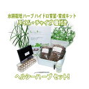 LFS-095-4 水耕栽培キット ハーブ ヘルシーハーブセット タイム チャイブ 種子付き ハイドロボール 育苗・育成 HBキット リビングファーム LF...