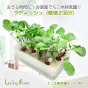 LFS-325 ミニ水耕菜園キットRA ラディッシュ リビングファーム LFS325【メーカー直送】【代引き/同梱包不可】無農薬野菜 栽培キット 水耕栽培 栽培...