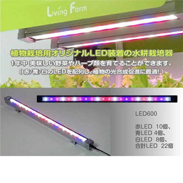 リビングファーム　LF-RHW600-4　大型水耕栽培器 セット　高輝度LED装備【メーカー直送】【代引/同梱不可】【送料無料（沖縄・離島は除く）】【栽培キット　水耕栽培　栽培セット　LivingFarm】