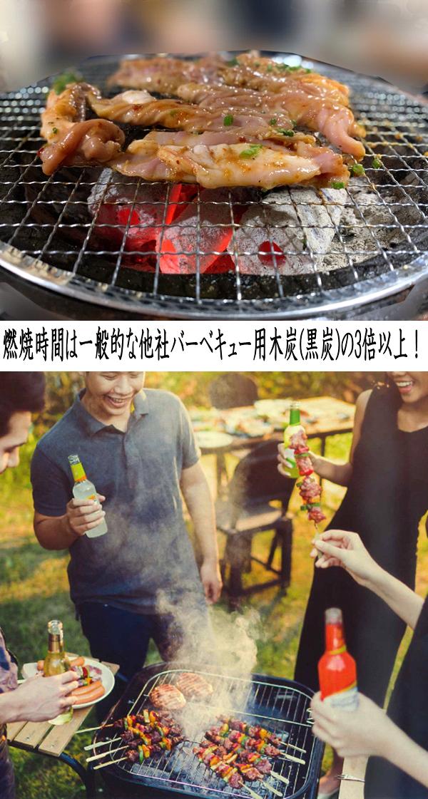 たかやま オガ備長炭 王様の炭 箱入り インドネシア産 3kg×2箱セット【お取り寄せ商品】【BBQ バーベキュー 焼き肉 炭火焼き 木炭 備長炭 炭】通販格安セール情報 楽天 通販