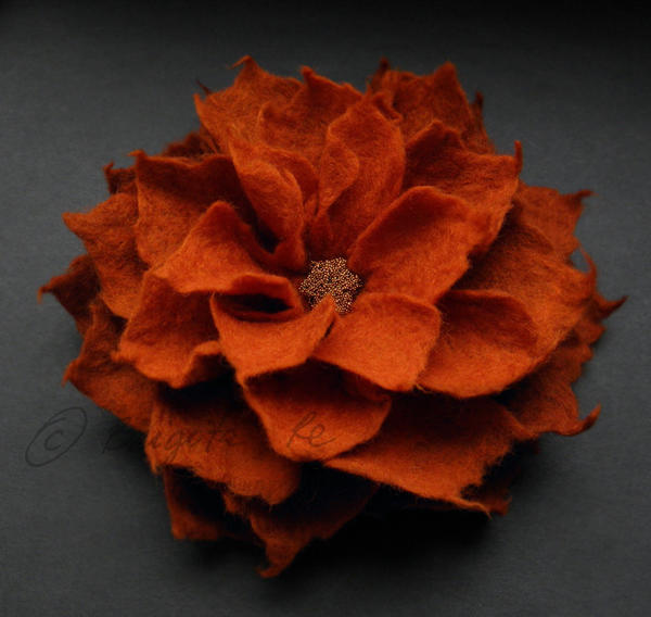 �ե���ȤǤǤ����֤Ӥ饳��������Brigite/�ե���ȥ֥�����/����������