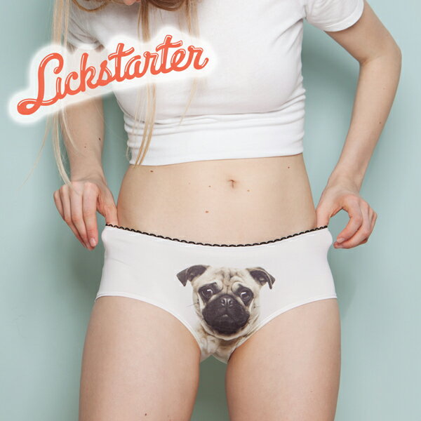 ץȥ硼 Lickstarter socialite å ǥ ǥ ѥ  硼 β