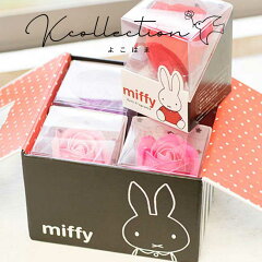 https://thumbnail.image.rakuten.co.jp/@0_mall/kcollection/cabinet/06170011/06254401/06276108/miffybox.jpg