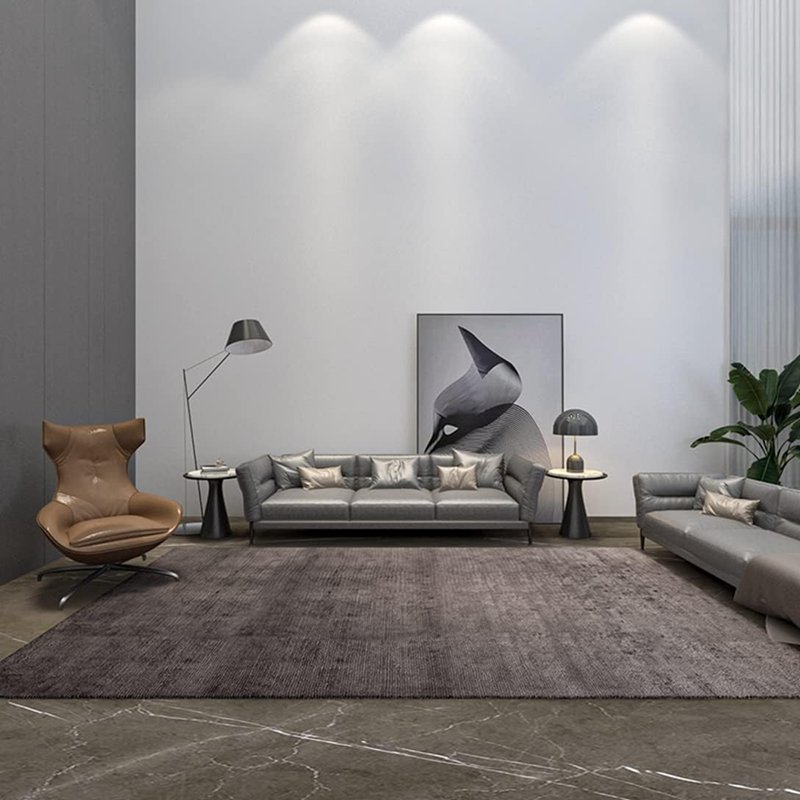 カーペット ラグマット 滑り止め付 柔らかい モダン 絨毯 防ダニ 防音 センターラグ マイクロファイバー 折り畳み 手触り 耐摩耗性 抗菌防臭 床暖房対応 大きい オールシーズン快適に使用 ホール/