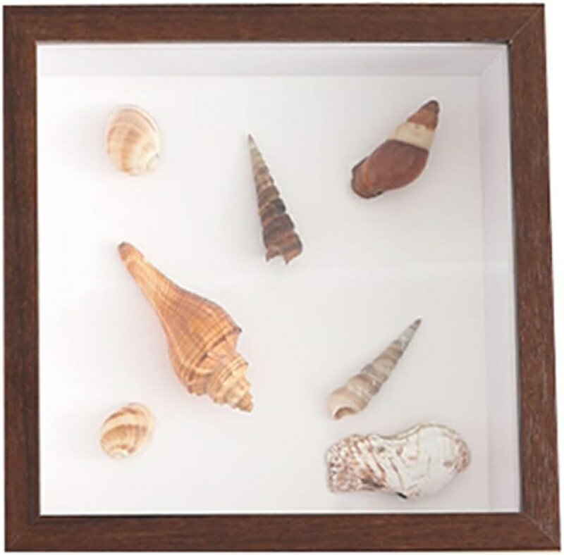 フォトフレーム キャビネ 15.2*20.3cm写真立て 1スタイル おしゃれ 40*40cm 立体額 ボックスフレーム ..