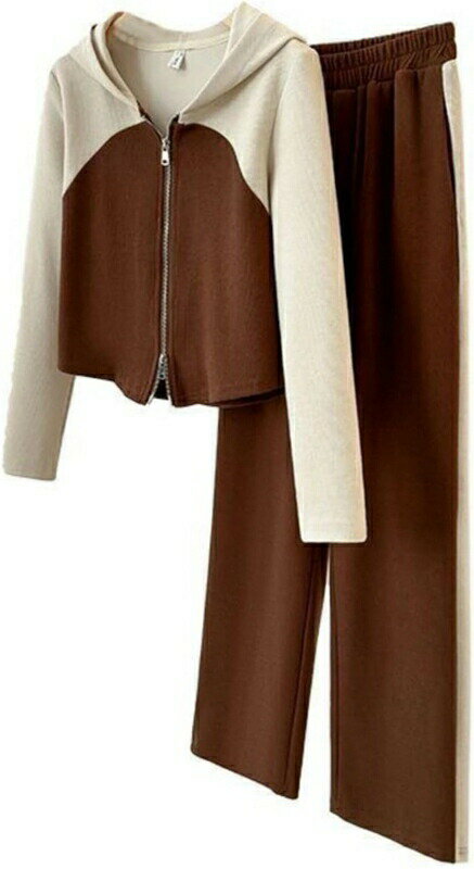 パーカー レディース 上下セット ジップアップ フード付き ショート丈 トレーナー 春秋 長袖 個性的 プルオーバー ゆったり スウェット 大きいサイズ カジュアル 通学 切り替え ストリート系 上着