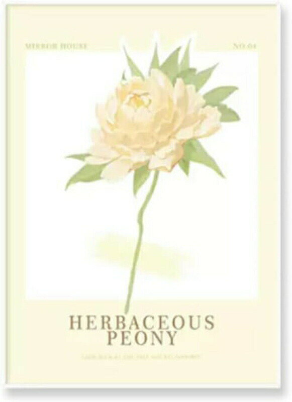 アートパネル 飾り絵 かわいい ポスター 50x70cm 壁掛け デザイン13 アートフレーム モダン アートボー..