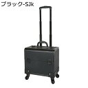 プロ用 メイクボックス 大容量 収納ケース キャスター付き 2段 メイクキャリーケース 仕切り ABS メイク ヘアメイク 持ち運び簡単 ローリングメイクアップケース トラベル 旅行 ファッション