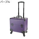 メイクキャリーケース 大容量 大容量化粧台 キャスター付き 大型 キャリー プロ仕様 ハンドル付き 薬箱 メイク ヘアメイク 耐久性 簡単に開閉 化粧品収納オーガナイザー 出張 旅行用 贈り物