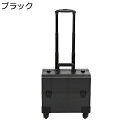 キャリーバッグ 大容量 コスメボックス キャスター付き メイクボックス アルミ 業務用 仕切り 薬箱 化粧品収納 整理整頓 ヘアスタイリストメイクアップケース 出張 旅行用 プレゼント 男女兼用