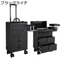 メイクキャリーケース 大容量 化粧ボックス キャスター付き 引き出し 大型 キャリー 業務用 仕切り付き ツール箱 メイクアップ お手入れも簡単 メイクボックスキャリーバッグ 出張 旅行用 ファッション