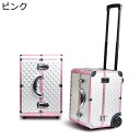 業務用 収納ボックス メイク箱 大容量 化粧ボックス キャスター付き 2輪 キャリーボックス 仕切り 化粧箱 化粧道具入れ 整理整頓 大型メイクアップキャリングケース トラベル 旅行 プレゼント