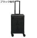 プロ用 収納ボックス メイク箱 大容量 業務用化粧ケース 引き出し キャスター付き トロリー キャスター付き化粧ケース ハンドル付き ツール箱 アート用品収納 ローリングトレインケース 出張 旅行用 おしゃれ