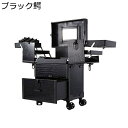 キャスター付き トロリー キャスター付き化粧ケース 鏡付き プロ用メイクボックス プロ用 大容量 メイクbox 仕切り付き 宝石箱 ヘアスタイリストメイクアップケース 美容師 出張 旅行用 携帯便利 おしゃれ