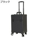 プロ用メイクボックス キャスター付き キャリーボックス プロ仕様 大容量 ロック付き 化粧ボックス アルミ ハンドル付き 携帯便利 メイク用 化粧品収納 ヘアメイク 美容師 トラベル 旅行 宝石箱 プレゼント