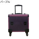 メイクキャリーケース 大容量 コスメボックス キャスター付き 取外し可 キャリーボックス 業務用 仕切り 薬箱 化粧品収納 耐久性 簡単に開閉 コスメティックオーガナイザー トラベル 旅行 贈り物