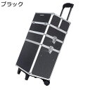 メイクキャリーケース 大容量 収納ケース キャスター付き 大型 キャリー アルミ 業務用 ハンドル付き 宝石箱 メイクアップ たくさん収納 アーティストキャリアードレッサー 出張 旅行用 ファッション