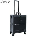 プロ用メイクボックス キャスター付き トロリー キャスター付き化粧ケース プロ 鏡付き 大容量 ロック付き 大容量化粧台 アルミ ハンドル付き 防水 安定 メイク用 化粧品収納 美容師 出張 旅行用