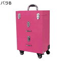 キャリーバッグ 大容量 化粧ボックス キャスター付き 引き出し キャリーボックス プロ ハンドル付き ツール箱 メイクアップ たくさん収納 コスメティックオーガナイザー トラベル 旅行 ファッション
