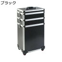 プロ用メイクボックス キャスター付き 大型 キャリー 2層 大容量 鍵付き コスメ 収納ボックス アルミ 仕切り 持ち運び簡単 メイク用 化粧品収納 画材収納 美容師 出張 旅行用 ツール箱 ファッション