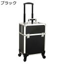 プロ用メイクボックス キャスター付き トロリーケース 業務用 大容量 ロック鍵付き 業務用化粧ケース アルミ 仕切り付き たくさん収納 メイク 化粧品収納 画材収納 美容師 トラベル 旅行 おしゃれ
