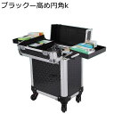 キャリーバッグ 大容量 収納ケース キャスター付き メイクボックス プロ用 仕切り付き ツール箱 アート用品収納 救急箱 耐久性 簡単に開閉 アーティストキャリアードレッサー 出張 旅行用 おしゃれ