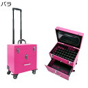 プロ用メイクボックス キャスター付き メイクキャリーケース プロ仕様 大容量 引き出し 収納ケース アルミ ハンドル付き 防水 メイク道具収納 化粧道具入れ ネイル収納 美容師 トラベル 旅行 宝石箱 贈り物