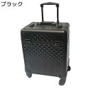 メイクボックス キャスター付き メイクキャリーケース プロ 大容量 ロック付き 化粧品収納ケース アルミ ハンドル付き たくさん収納 メイク道具収納 化粧品収納 ヘアメイク 美容師 出張 旅行用 ファッション