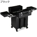 メイクキャリーケース 大容量 化粧ボックス キャスター付き 2層 キャリーボックス プロ用 仕切り 薬箱 アート用品収納 耐久性 簡単に開閉 コスメティックオーガナイザー トラベル 旅行 プレゼント