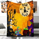もこもこ毛布 ハロウィン デジタルプリント 魔女 フクロウ フランネルブランケット ハーフサイズ 厚手 毛布 モコモコ毛布 掛け布団 ひざ掛け 肩掛け ふわふわ毛布 オールシーズン 暖かい毛布 柔らかい 多用途