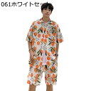 ビーチシャツ メンズ アロハシャツ 上下セット 短パン ショートパンツ 5分丈 かわいい 花柄 大きいサイズ 総柄 レトロ 涼しい 夏着 夏服 トレンド ファッション 体型カバー 羽織り 花火大会 夏祭り 海水浴